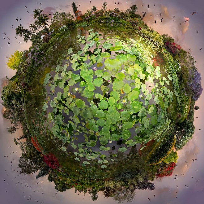هنرنمایی دیجیتالی زیبا و ارزشمند  توسط هنرمند استرالیایی کاترین نلسون